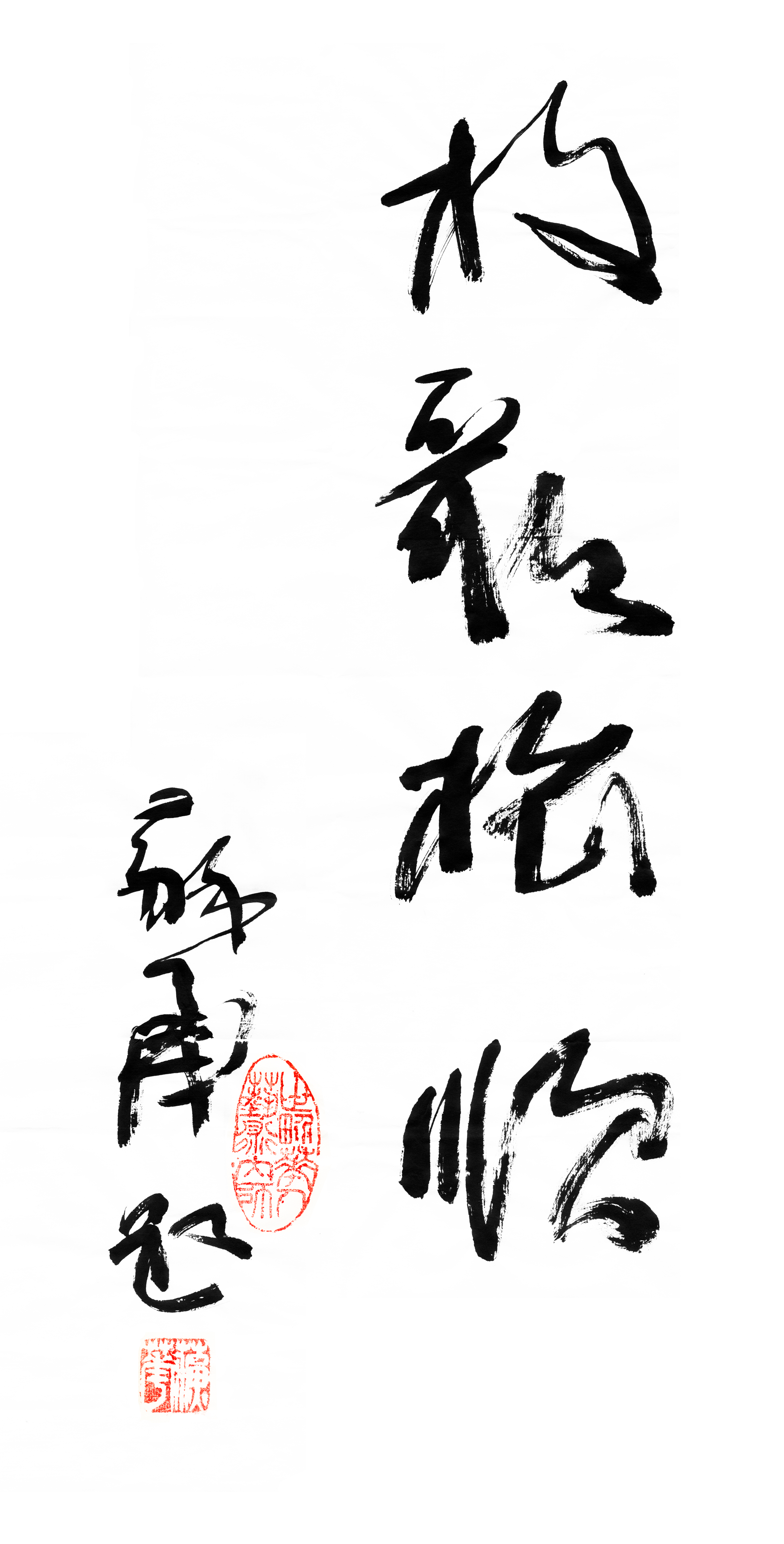 著名书法家苏华老先生为我题写书名