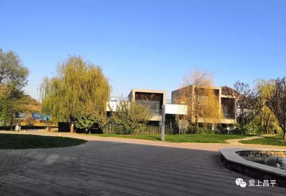 享受自家小院这悠闲时光,享受独处小院时光