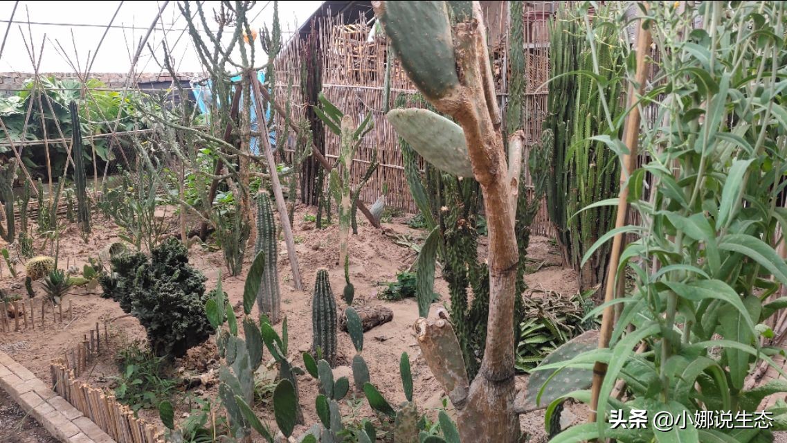 美如画的农场,美如画的生态园