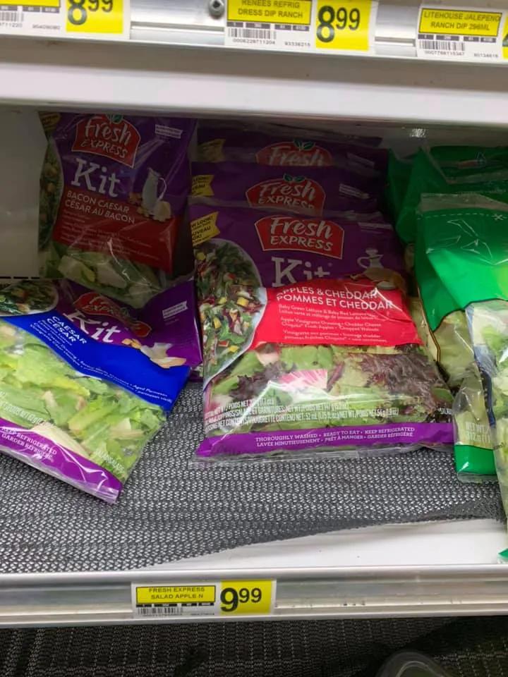 猎杀海豹，吃肉不吃素？！原住民们怒怼动保组织：站着说话不腰疼