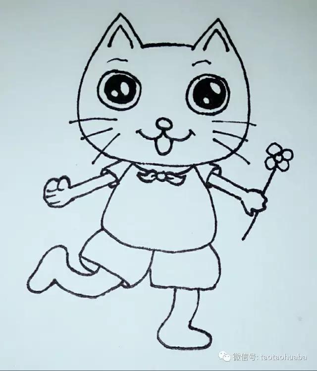 我是可爱小猫咪视频,我是一只可爱的小猫咪