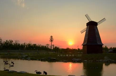 藏不住了！国庆苏州这片花海美哭了！大人小孩玩到不想走