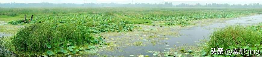 济宁市鱼台地名故事,山东鱼台县历史