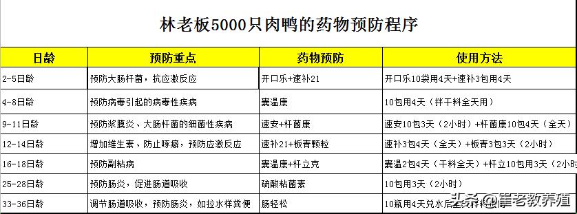对个别严重肉鸭浆膜炎怎么治疗,肉鸭病毒性浆膜炎用什么药