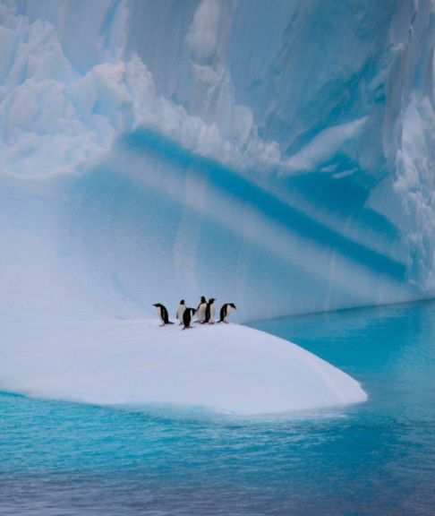 狄马带你看南极|准备好了吗？给你最真实的南极体验