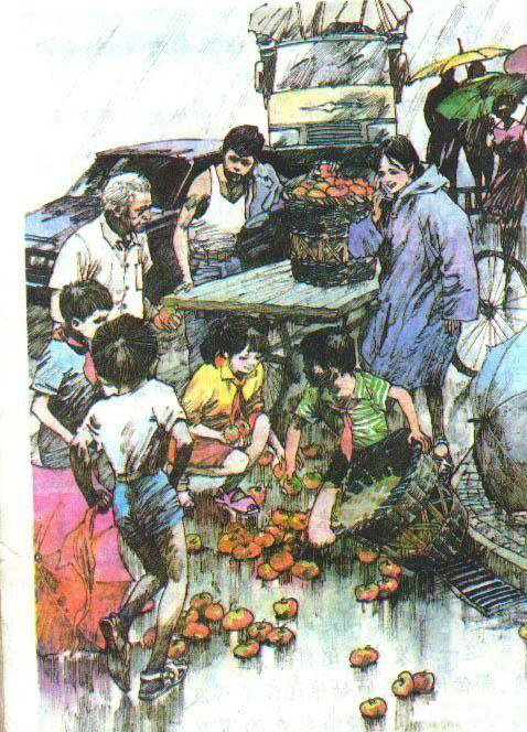 不同年代的小学课文插图,小学课文插图还记得多少