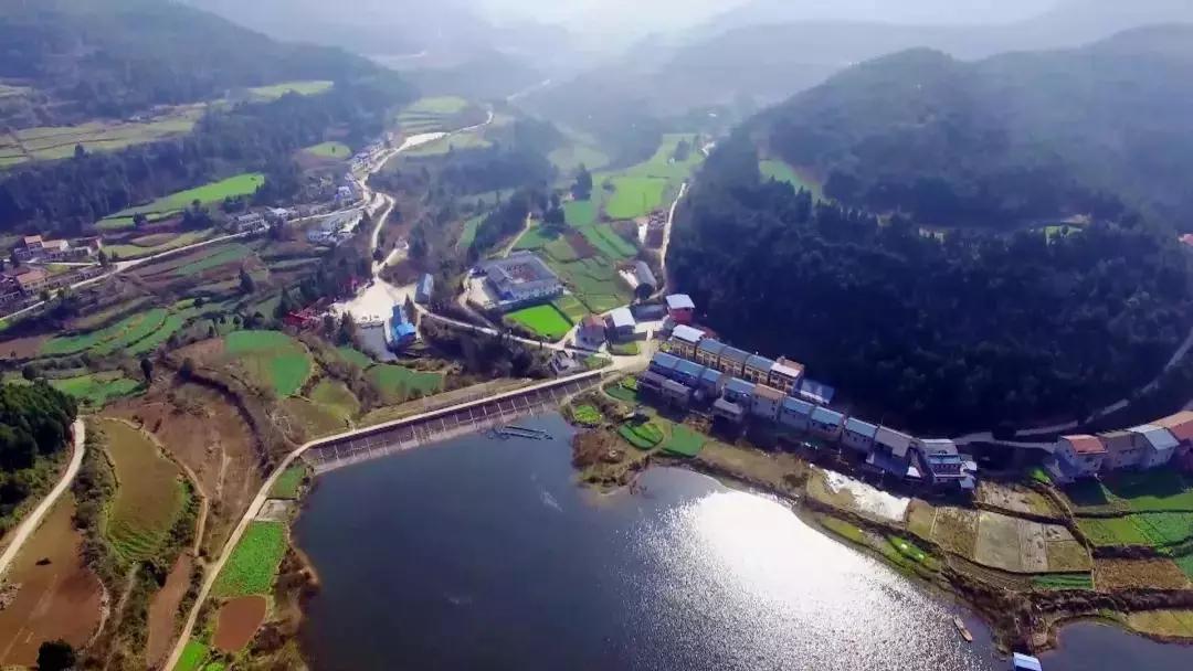 四川盐亭首富,盐亭伐木工