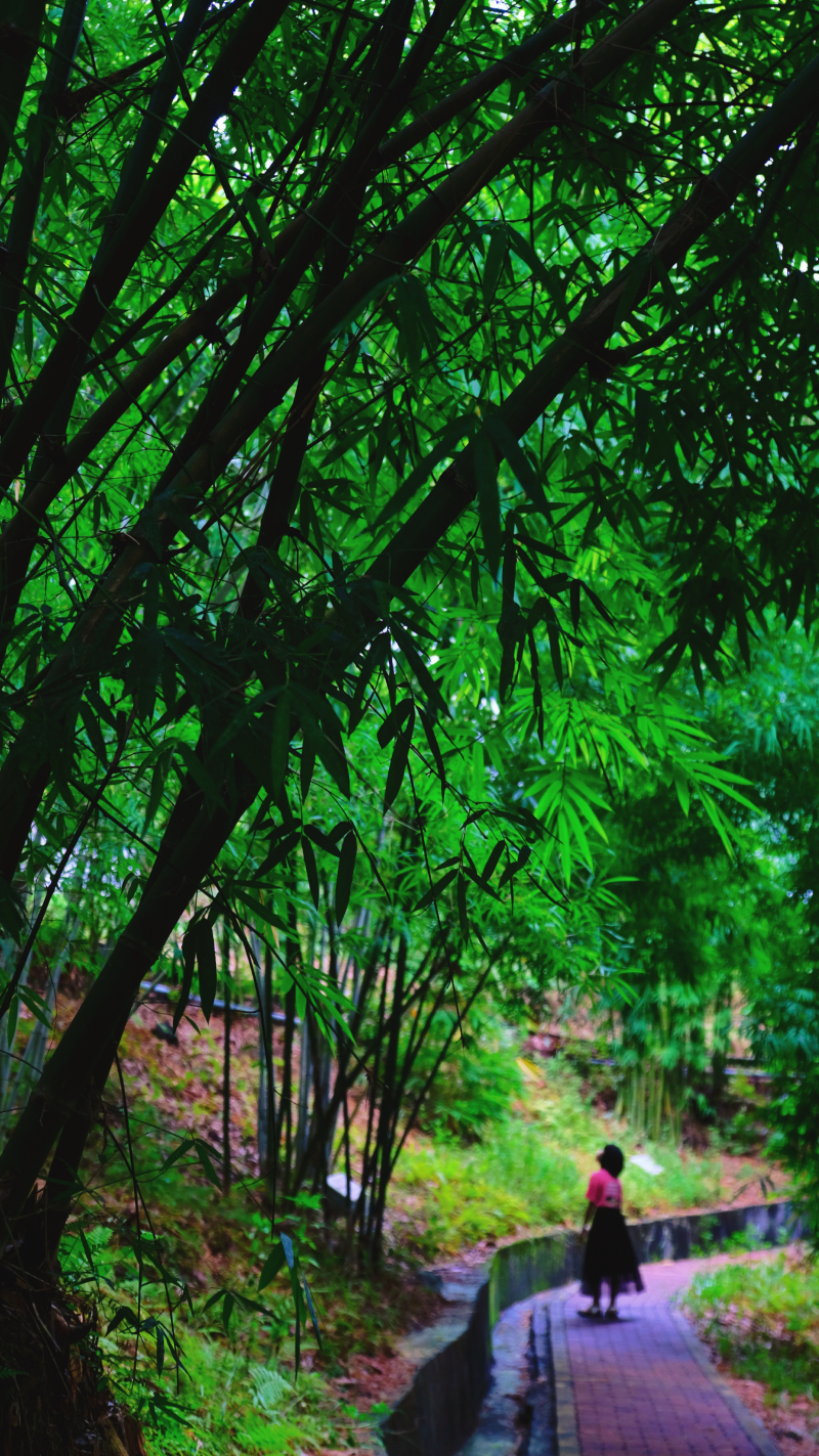 广东最没存在感的城市云浮,广东云浮是什么样的城市