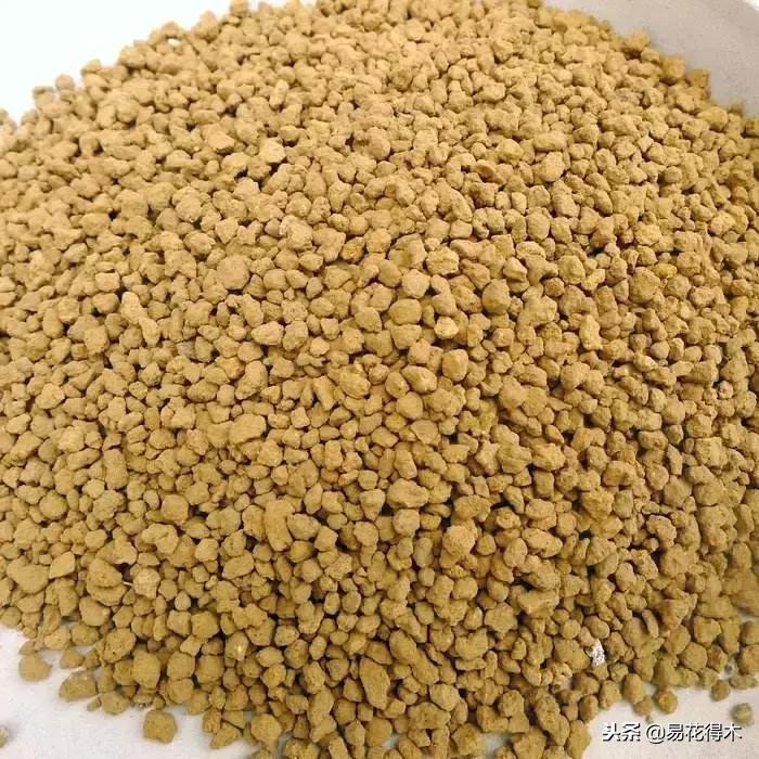 野山楂下山桩用什么土壤好,下山桩保湿成活技术