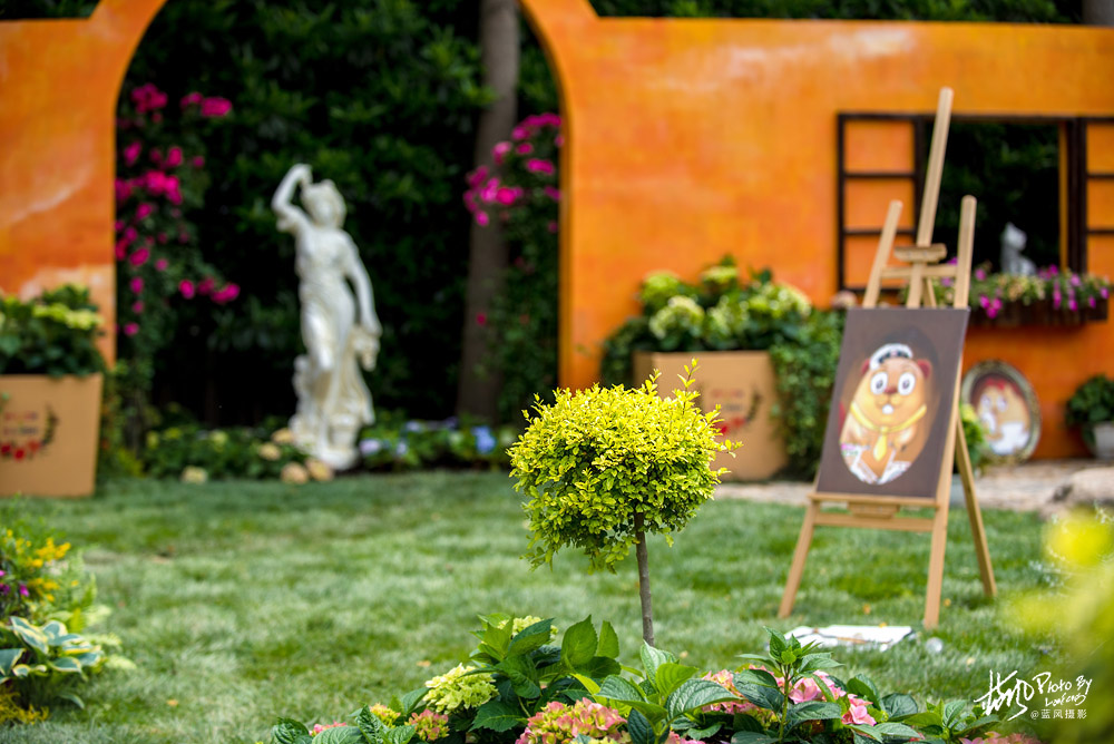 上海国际花展一览表,上海国际花展一览