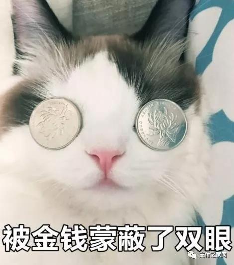 支付宝发声，不要把你的支付宝卖给别人，即便是百万元