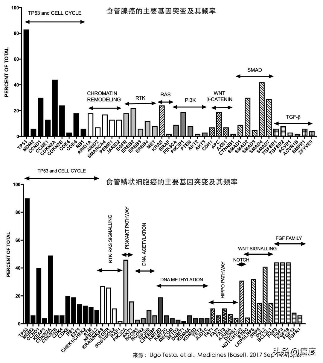 食管癌靶向治疗能治好吗,食管癌靶向治疗好还是免疫治疗好