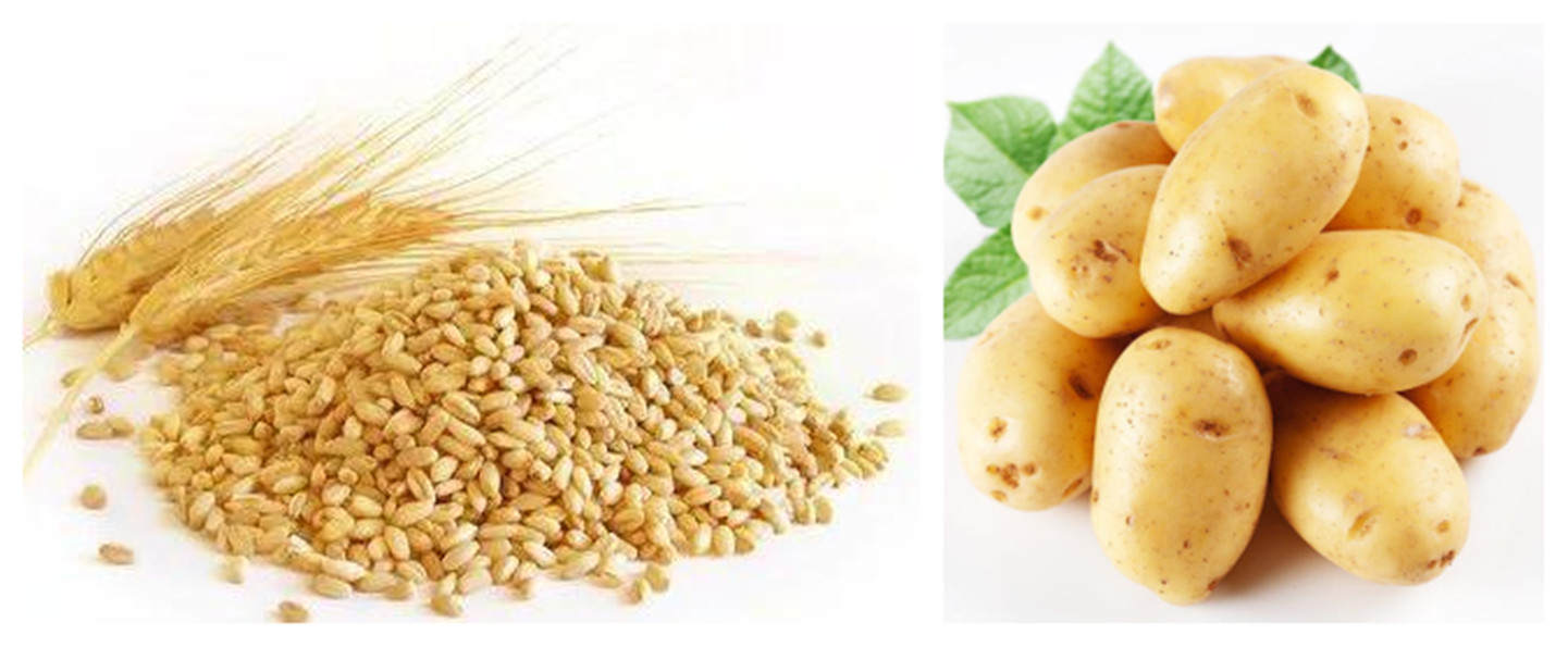 #侃侃宠粮#狗粮品牌那么多，价格高中低教你怎么选