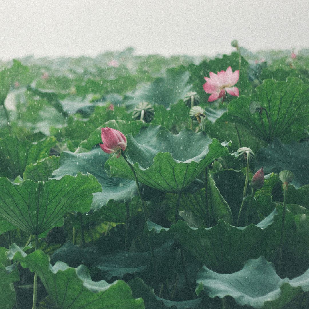 看腻了性冷淡的极简风,清冷系和性冷淡风