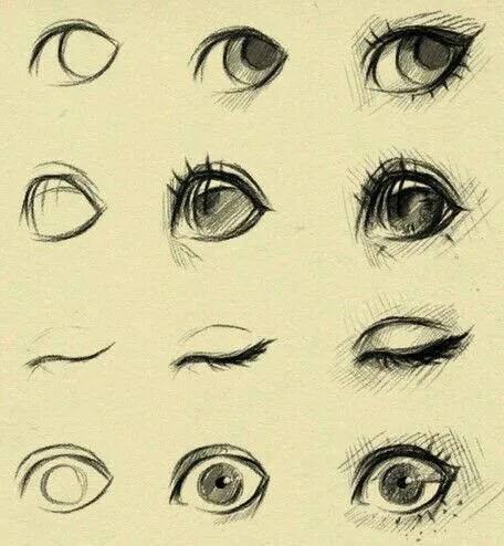 难得一见的动物素描,素描漫画人物超详细的画法