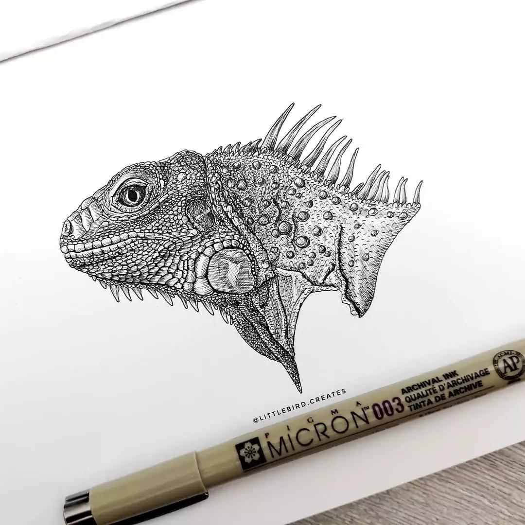 这一波手绘太给力了,绝对让你练完不厉害都难