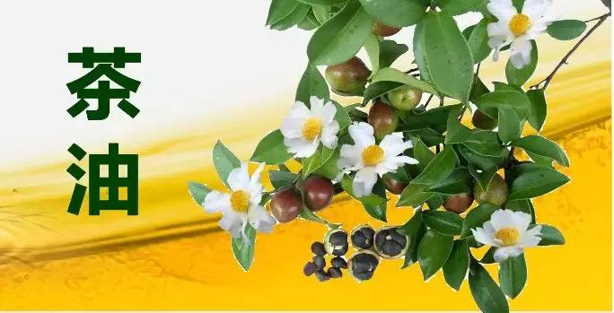 十大名牌茶油排行,2022中国十大茶油品牌