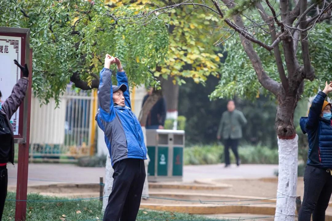 莲湖区晚上哪里可以散步,莲湖晨练