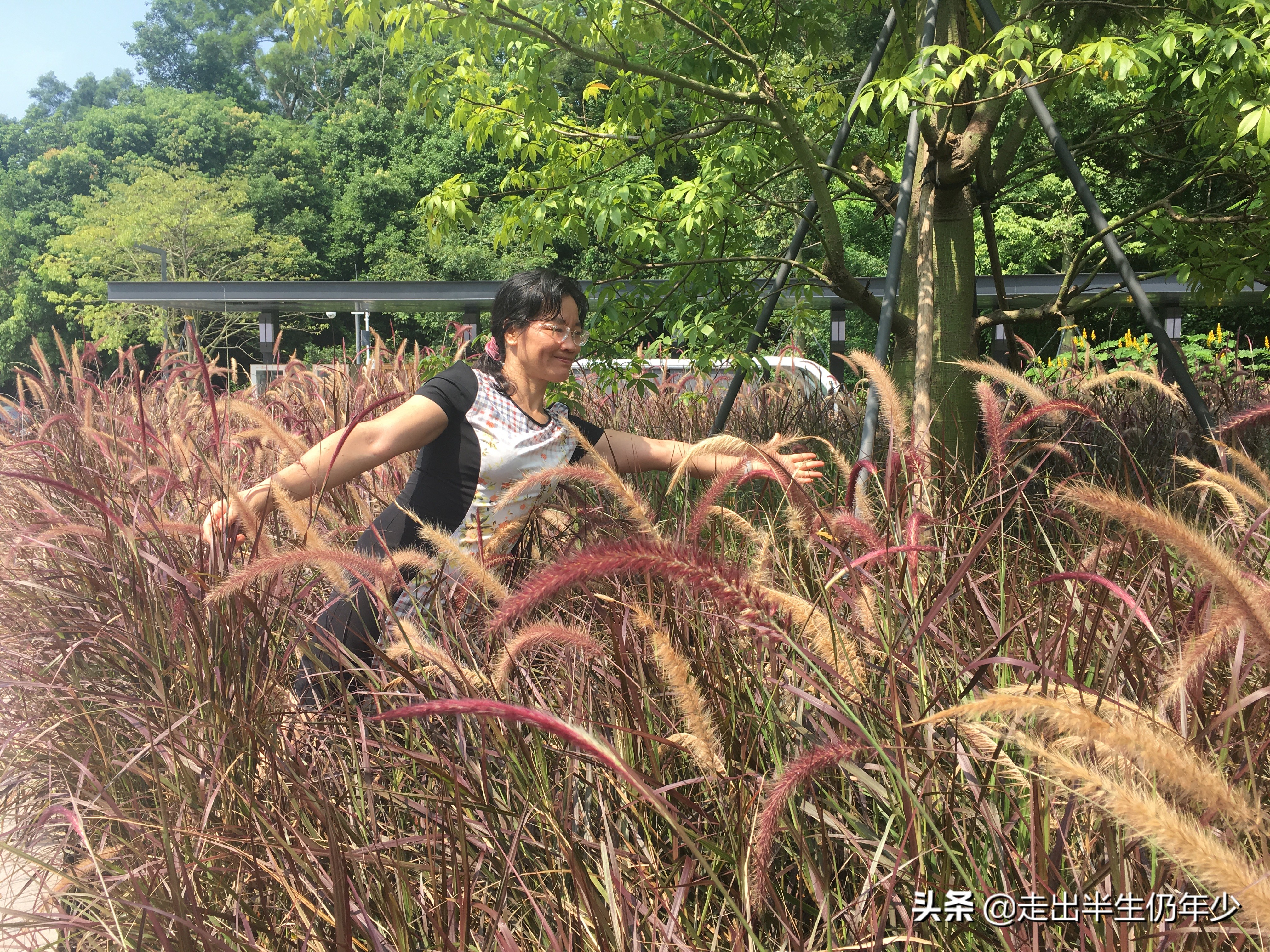 淘金山求水山徒步线路,从求水山公园怎样进入淘金山绿道