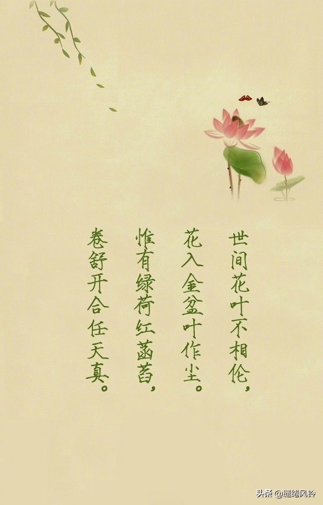 荷花出淤泥而不染全诗,满池荷花出淤泥而不染诗句