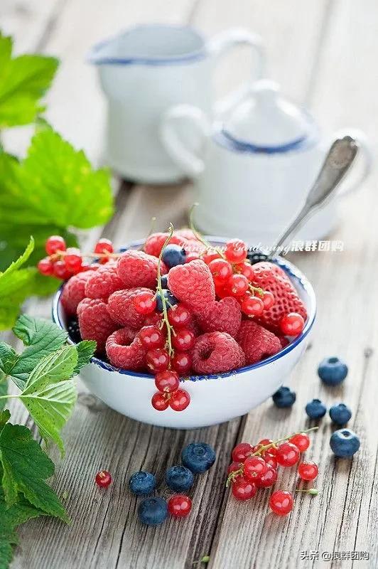 盆栽树莓能结多少果,盆栽果树一年可以长多高