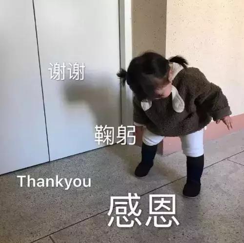 高中报考专业术语大全,高三专业报考指南和技巧