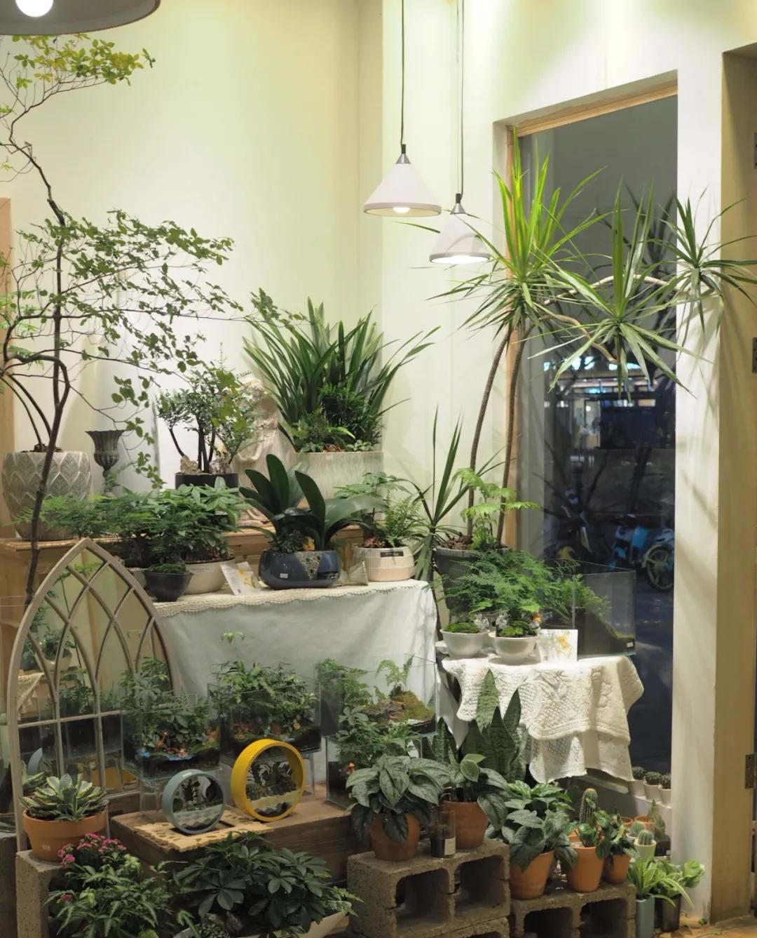 都市花语门票多少钱,都市花语免费阅读