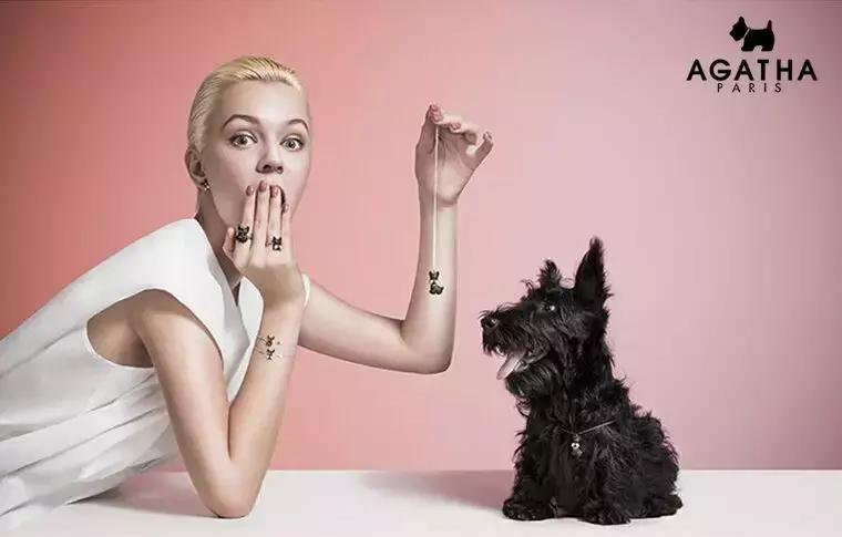 施华洛世奇的项链也太好看了吧,施华洛世奇适合30岁高品质首饰