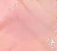 只要不停产会一直回购的化妆品,十大最不建议买的水乳