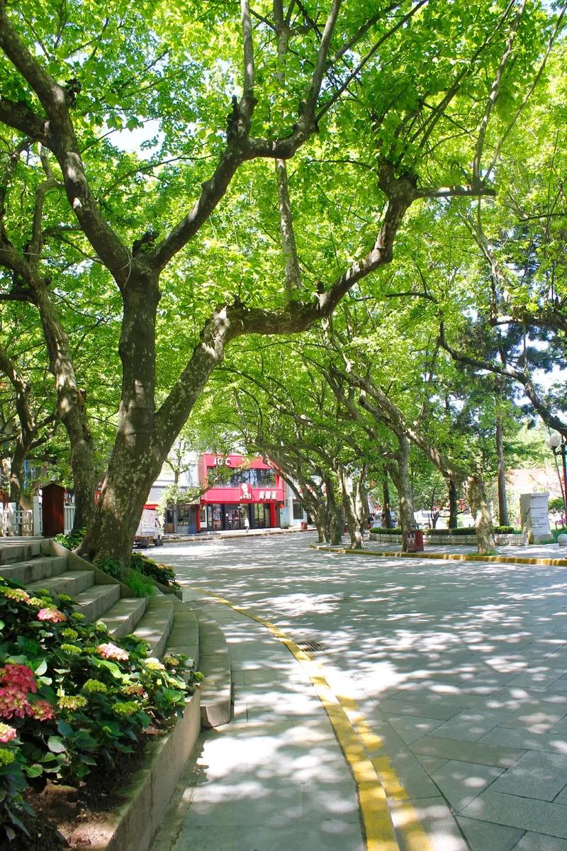 九江旅游必去十大免费景点,九江旅游必去的八大景点