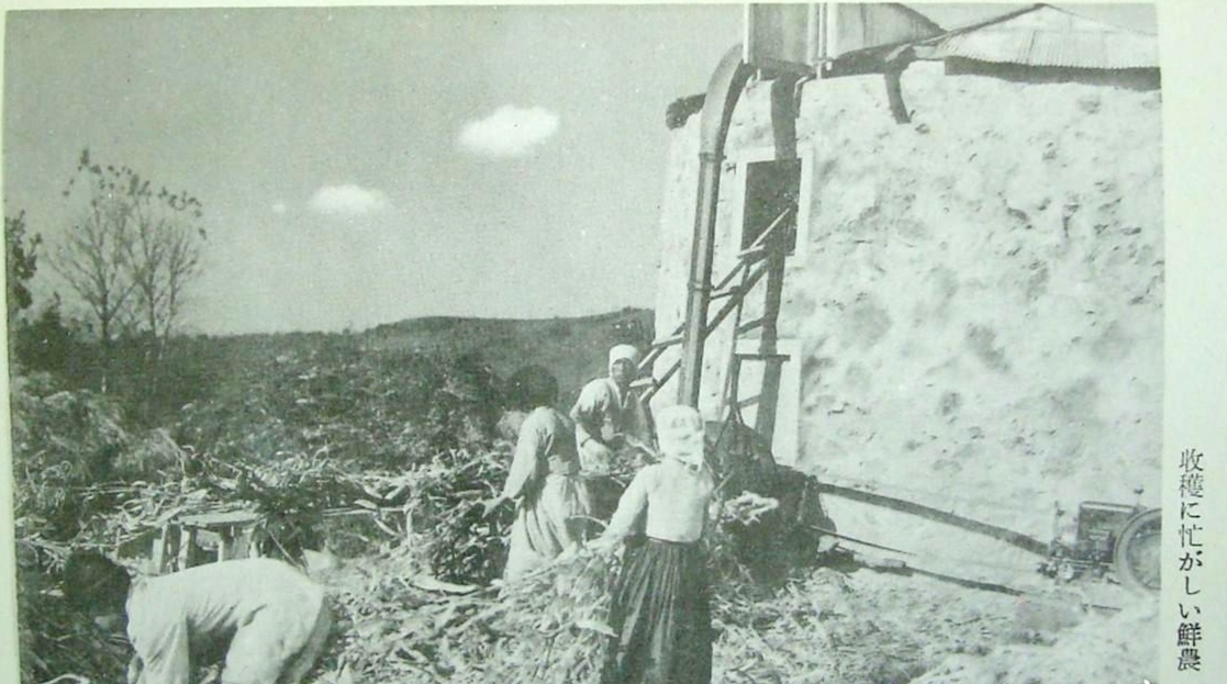 满族如何看待伪满洲国,满族人对伪满洲国的看法