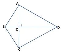 五年级数学组合图形阴影面积,组合图形的面积动手操作