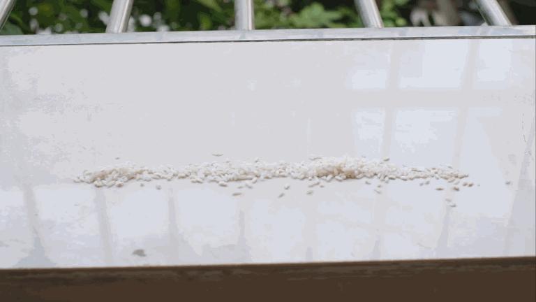 迷你小身材,迷你轻携无线吸尘器