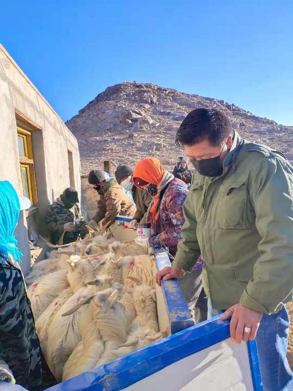 肃北县马鬃山疫情防控电话,肃北防疫情况