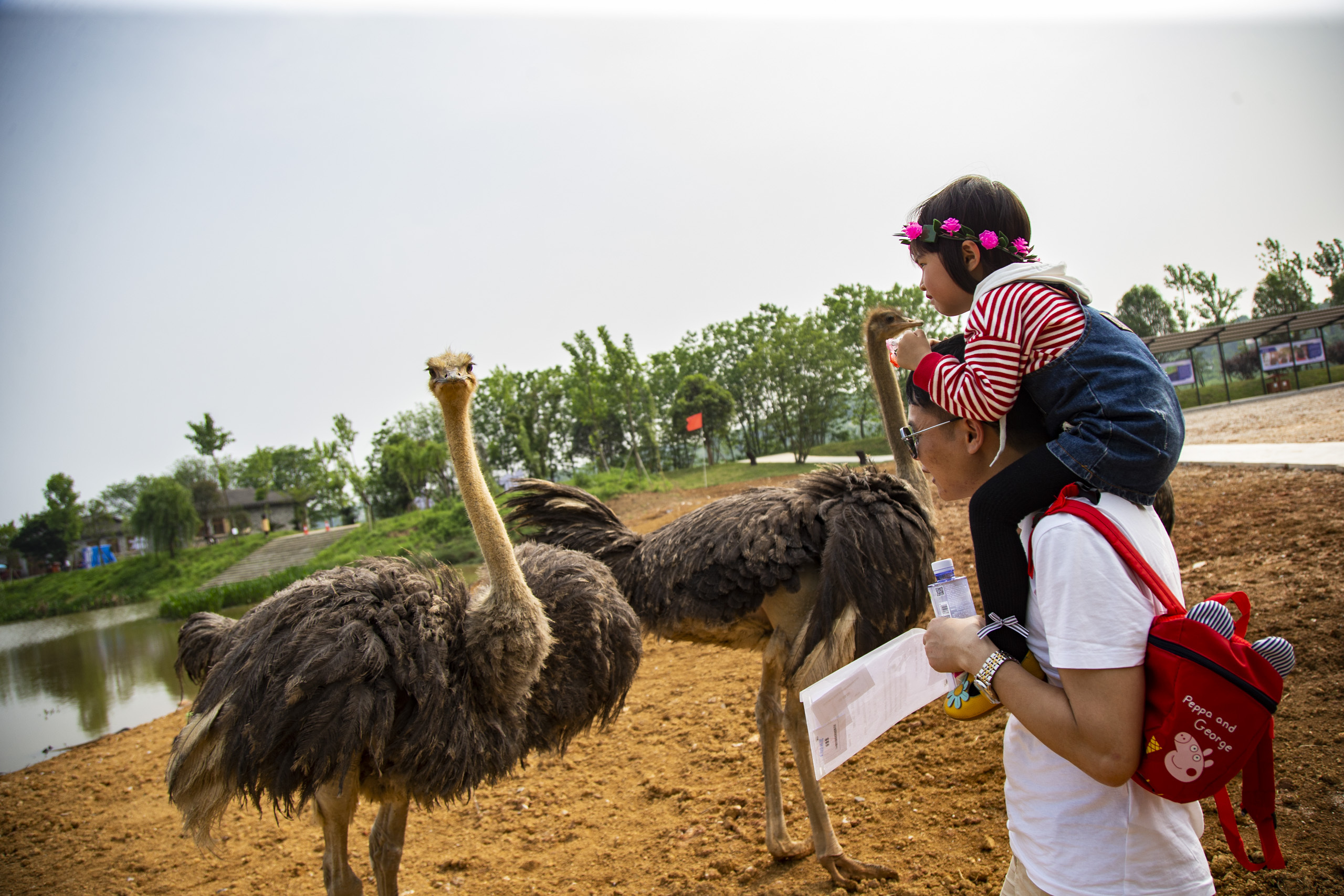 五一黄金周长沙旅游攻略,长沙洋沙湖自驾游攻略