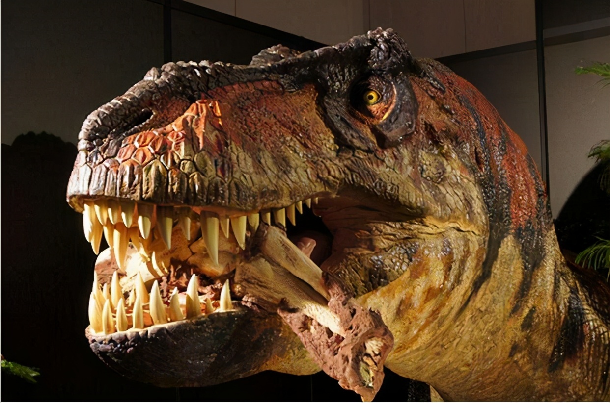 恐龙灭绝的谜团已被科学家解开了,科学家找到了恐龙灭绝的真正原因