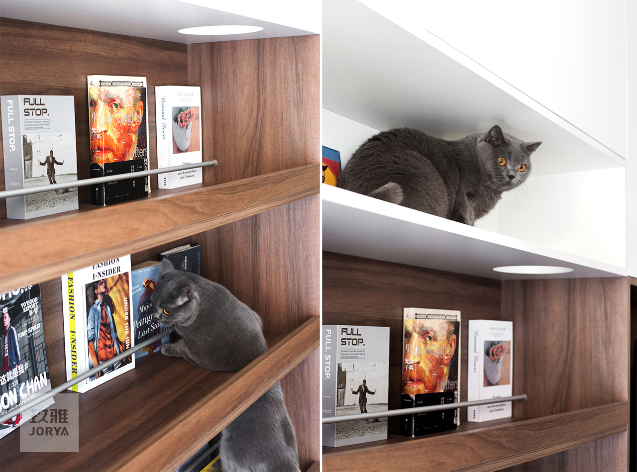 这家的电视柜既能收纳，也是喵星人乐园​