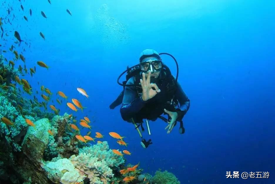 爱她就带她旅行,爱她就带她去火车站看海