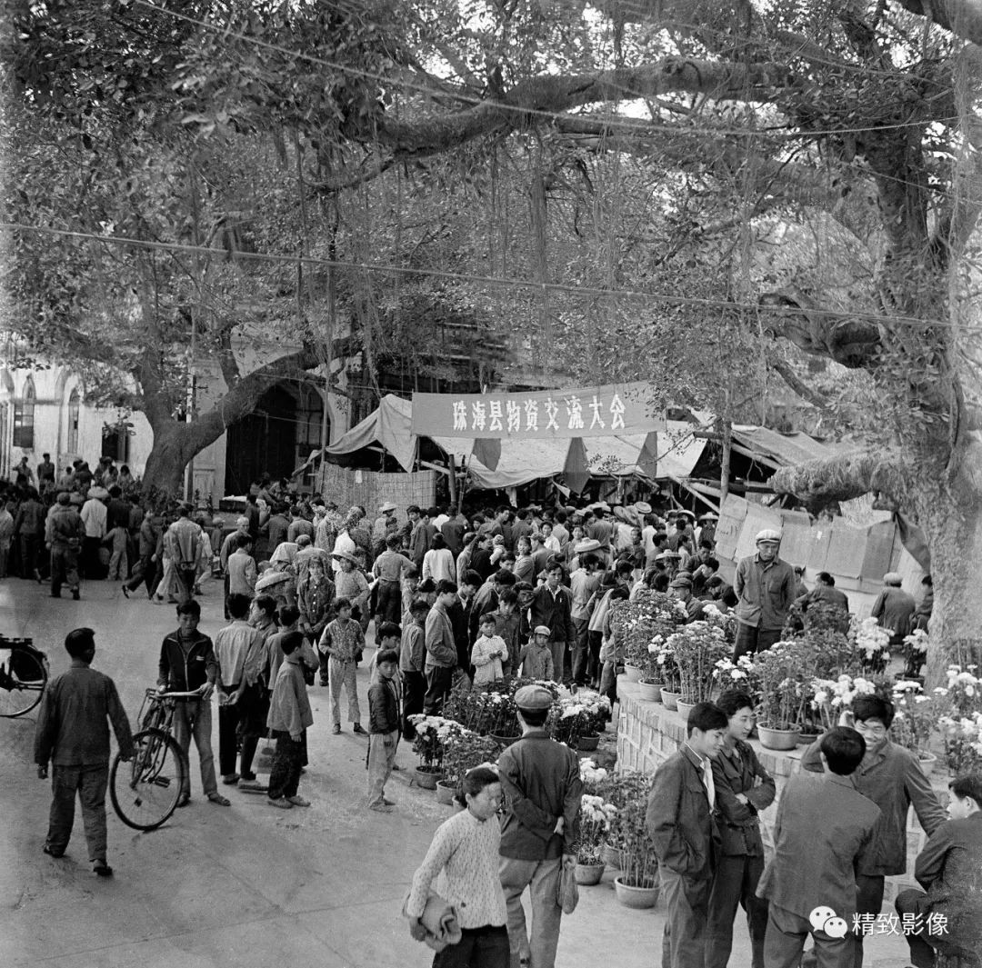 拾光汇影|第二期·珠海凤凰路