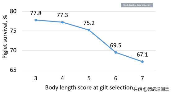 母猪产床大小对仔猪的影响,母猪产床对仔猪的影响