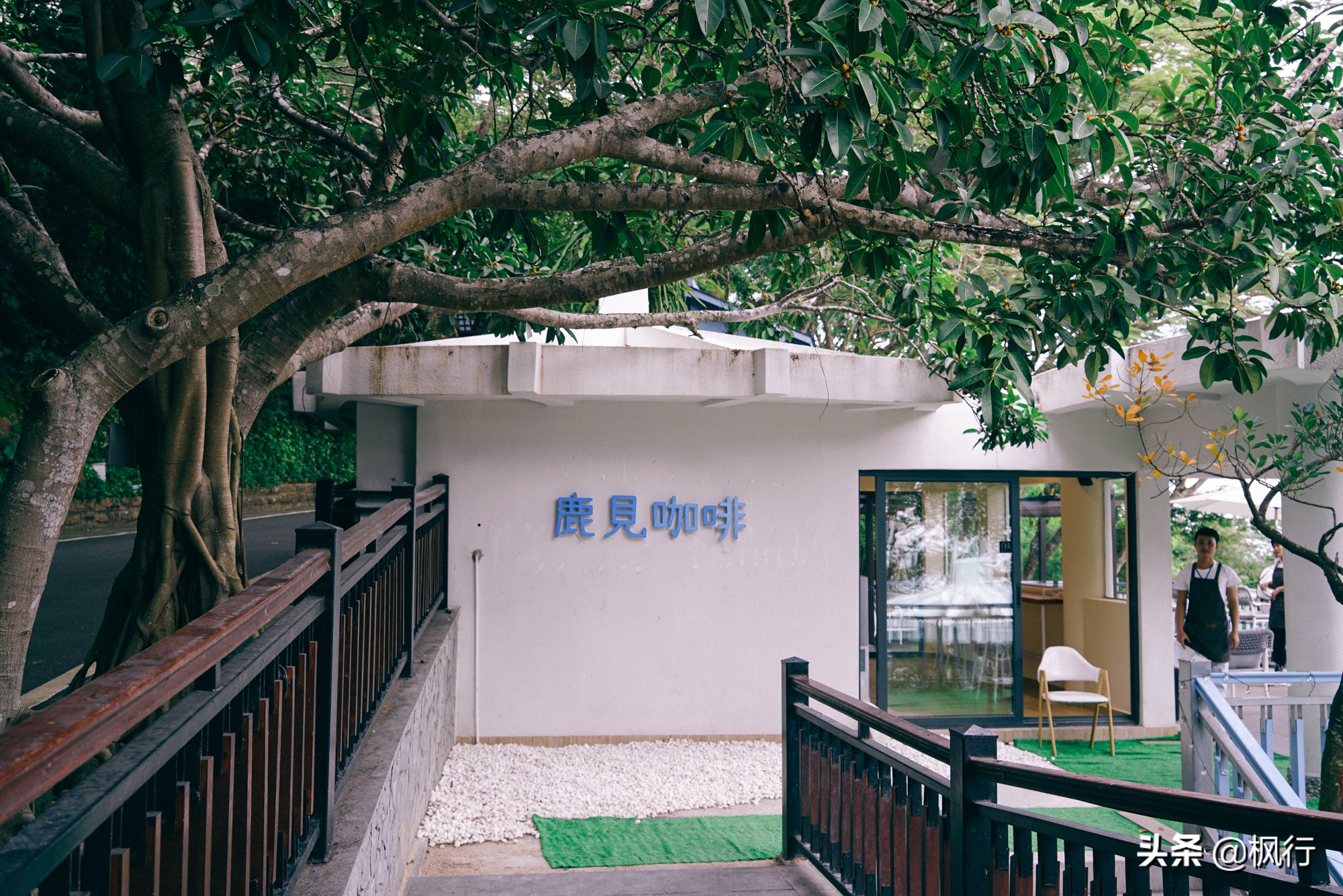 被猴子袭击，门票昂贵，拍照被轰，被我全程吐槽的三亚到底值不值