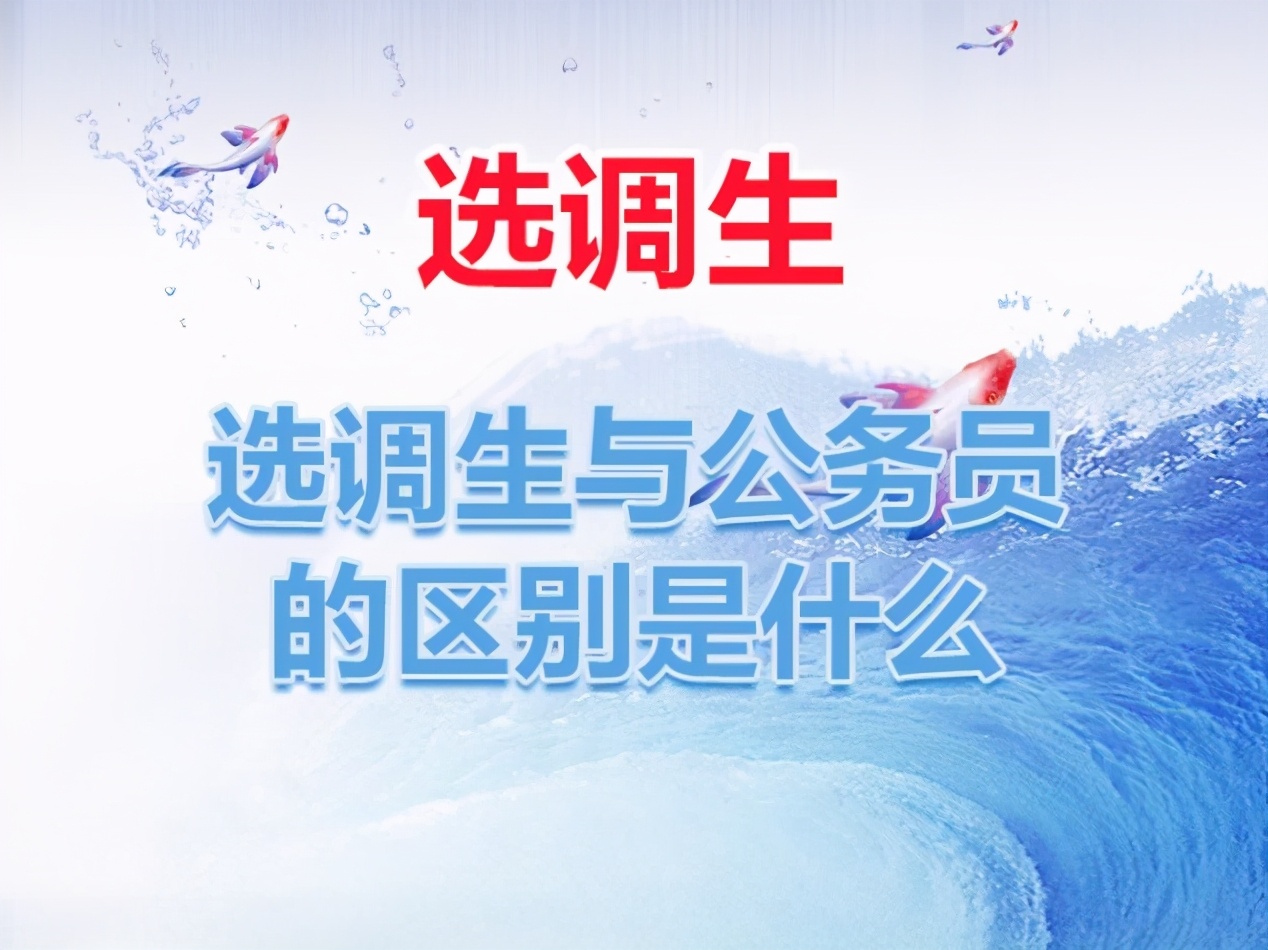 四川公务员和选调生考试差别,公考和选调生有什么区别
