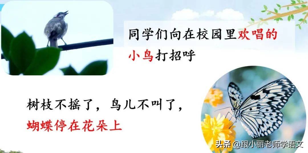 大青树下的小学重要背诵内容,大青树下的小学重点知识点