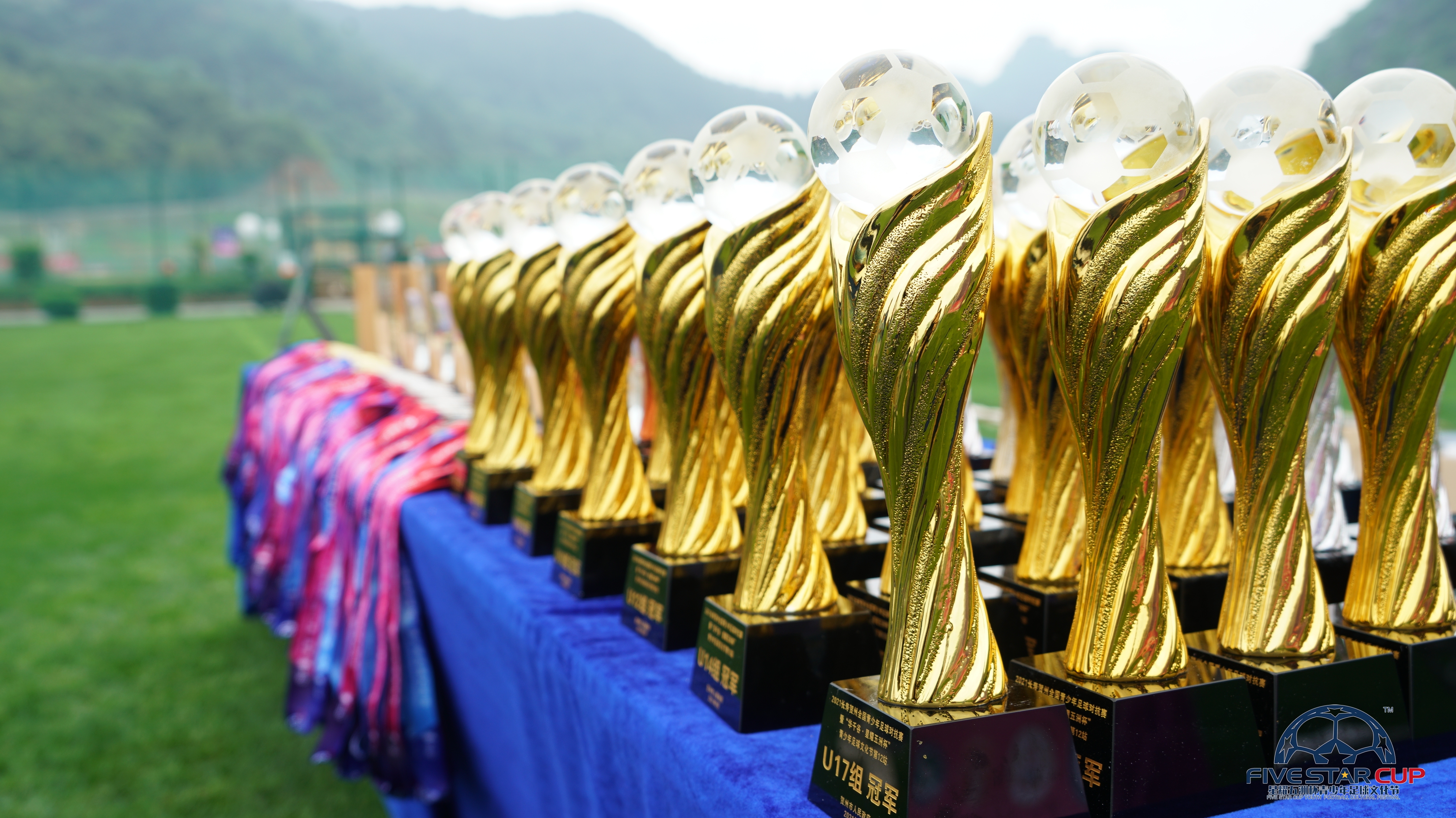 2020星耀五洲杯国际足球文化节,星耀五洲杯青少年足球文化节武汉