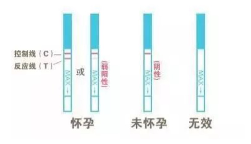 一张验孕试纸引发的遗憾：怀孕初期如何确认好孕？