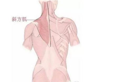 千万不要打瘦肩针你绝对想象不到,注射瘦肩针的正确方法