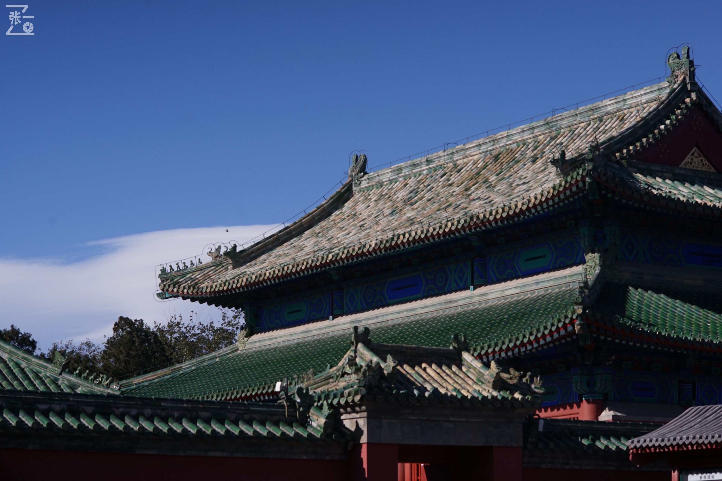 日本老镜头,canon老相机曝光