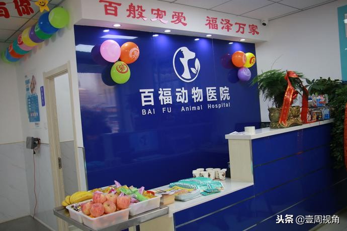 廊坊人自己的平价动物医院—百福动物医院正式开业