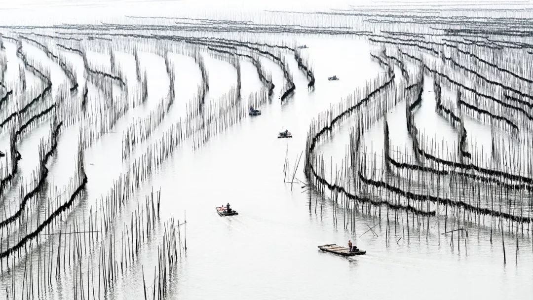 中国最美渔村霞浦,霞浦最美滩涂在哪