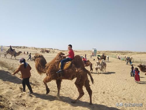 最原始的草原在哪里,蒙古最原始草原在哪里
